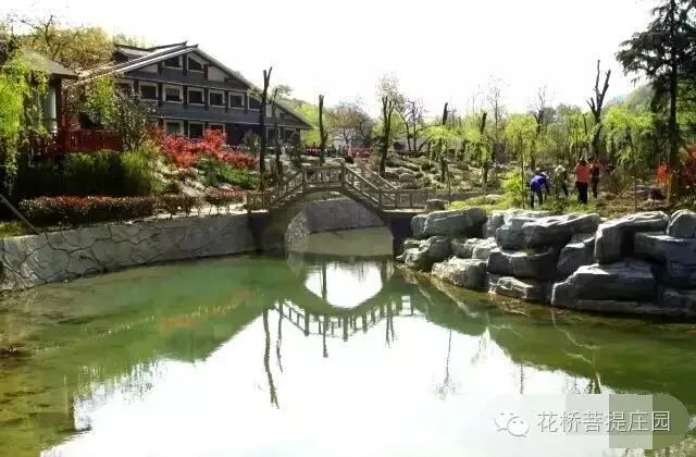 這個周末，隴南康縣花橋有大事要發(fā)生？