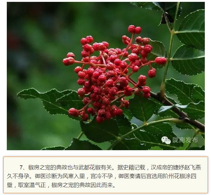 蘭渝鐵路最早由孫中山先生提出？在隴南，你不知道的事兒還有……