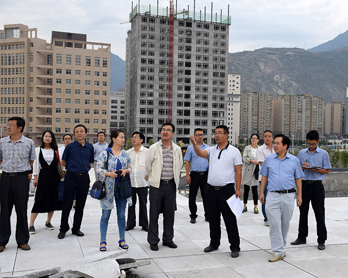 省、市聯(lián)合工作組蒞臨階州廣場檢查指導(dǎo)工作