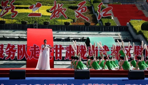 2019武都花椒產(chǎn)銷對接(電商)洽談會在階州廣場隆重開幕~